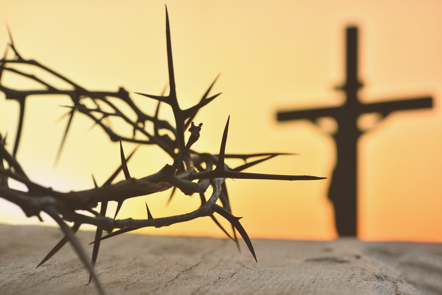 Jesus Christ's Crown of Thorns 