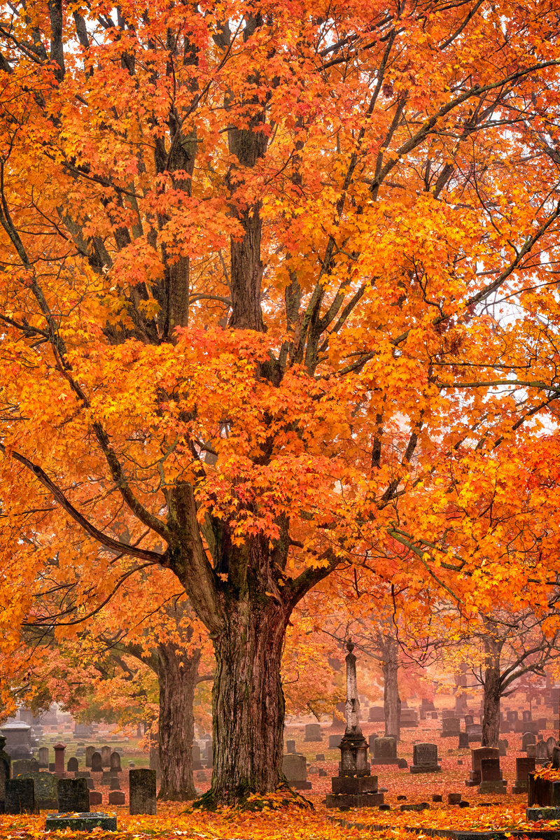 Fall Cemetary