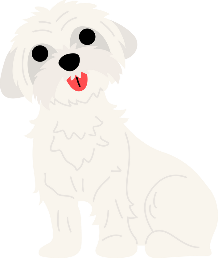 Maltese Dog Flat Icon